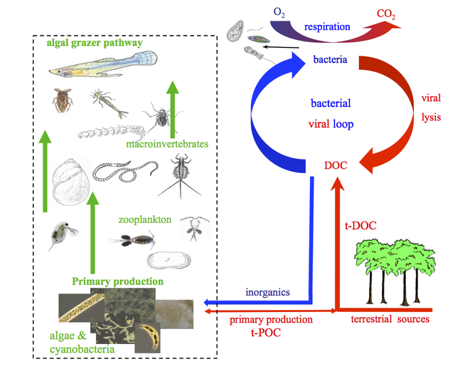 Click to enlarge nutrients recycled