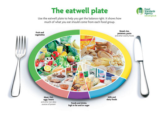 food pyramid