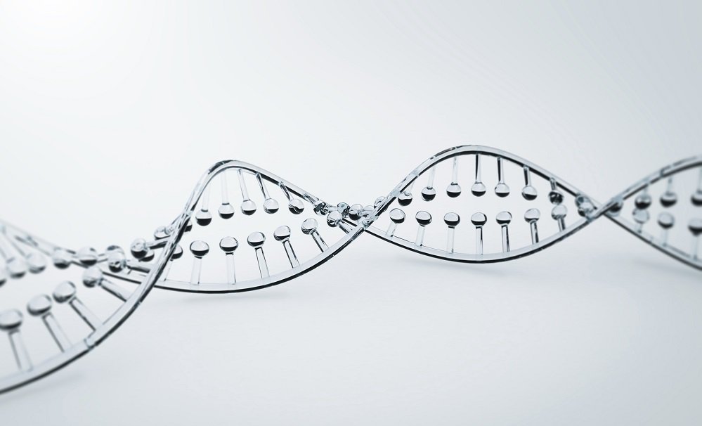 DNA Structure