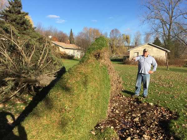 microburst damage at Lake Delta