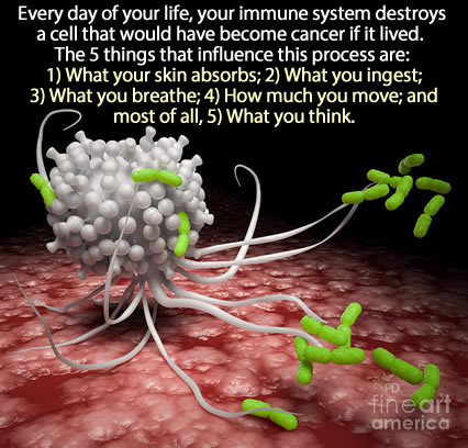 Click to enlarge cancer cell