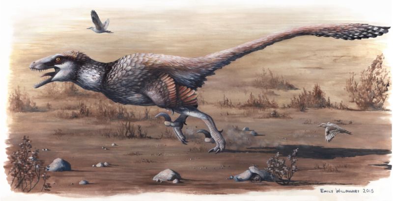Dakotaraptor
