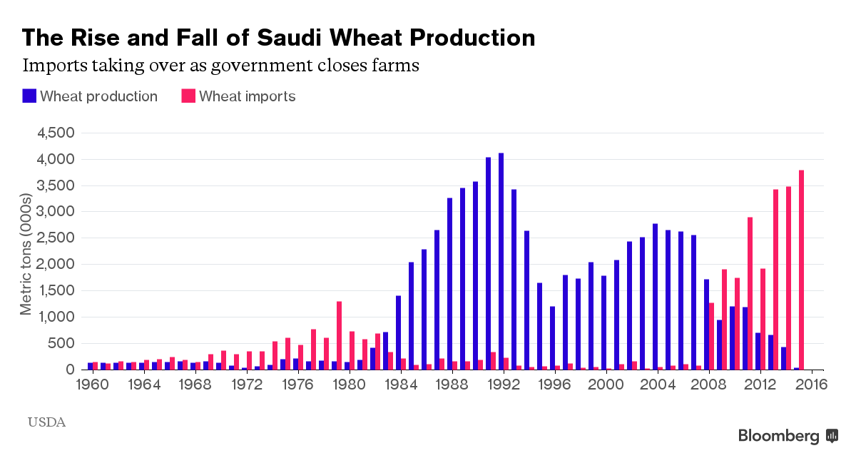 graph Saudi wheat production