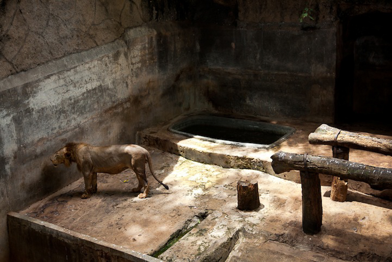 Click to enlarge Image