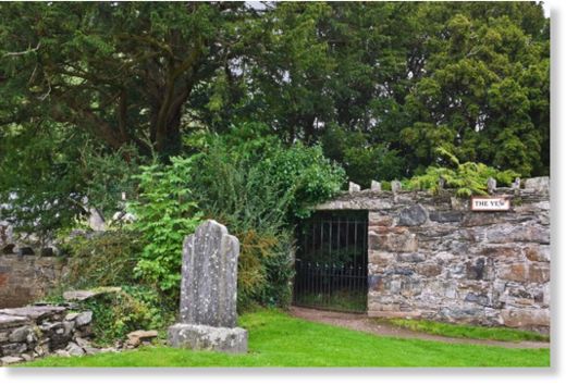 Fortingall Yew