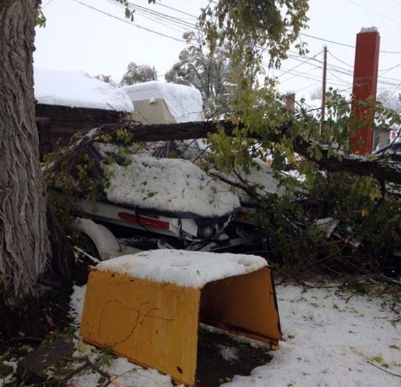 fallen branches damage property