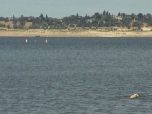 contamination sacramento water