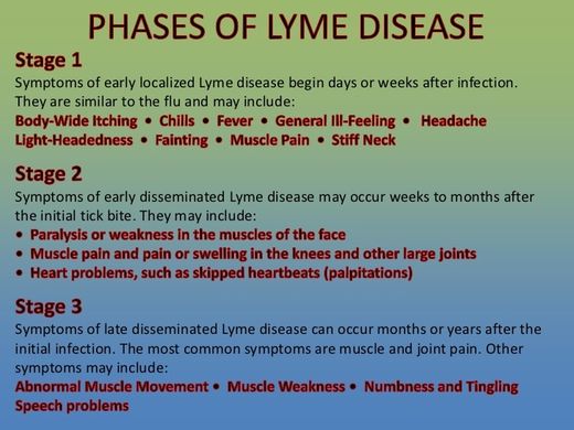 lyme disease