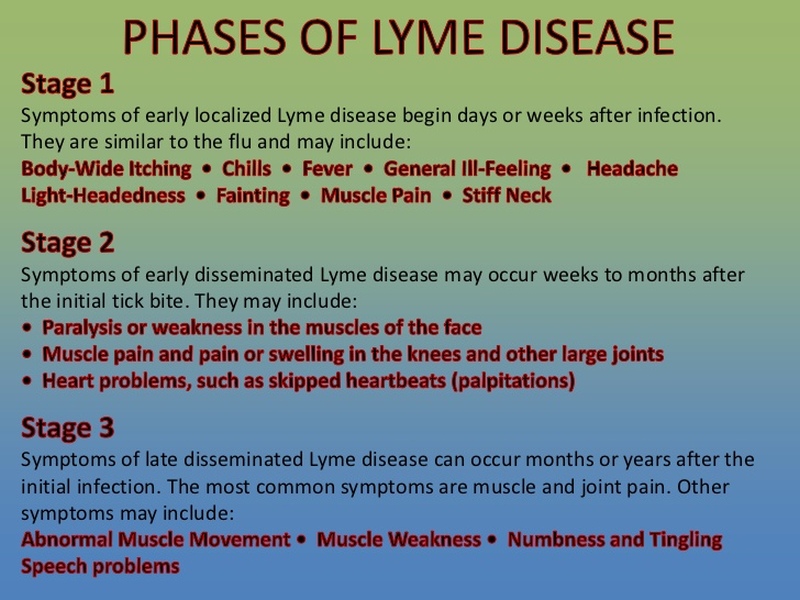 lyme disease