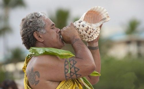 Hawaii shell man