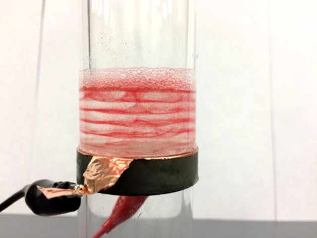 Click to enlarge cell layers