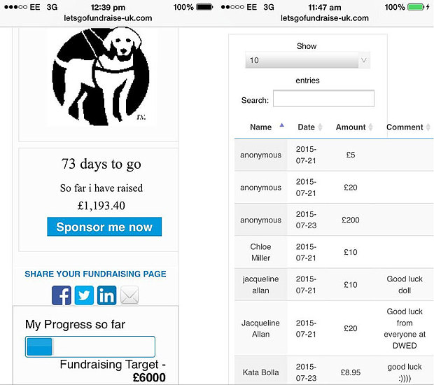 Click to enlarge Fundraising page for Service Dogs Europe