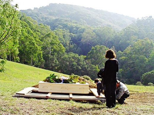 Eco-cemetery
