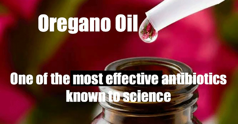 oregano oil