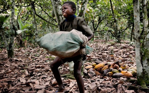 Hershey, Nestle and Mars use child slaves to make your chocolate