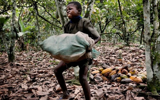 Hershey, Nestle and Mars use child slaves to make your chocolate Hershey, Nestle and Mars use child slaves to make your chocolate