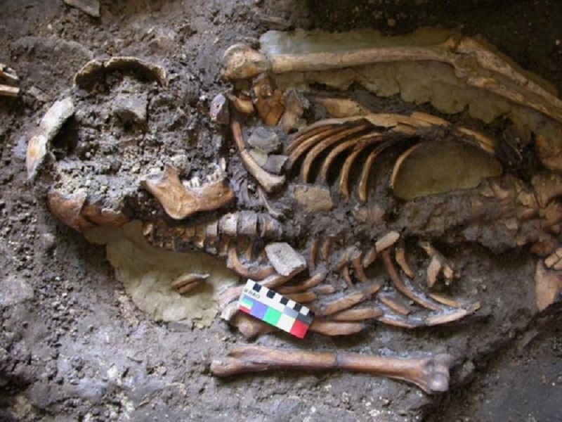 Ancent Skeleton