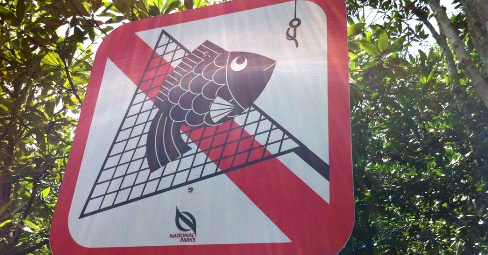 Click to enlarge Image
