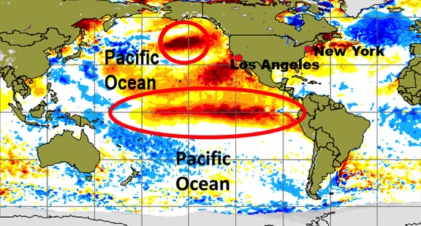 el nino 2015