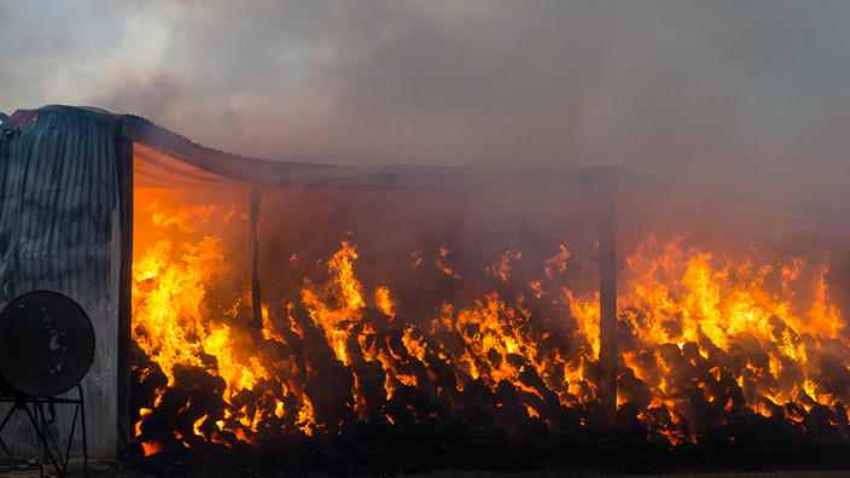 Australia wildfires