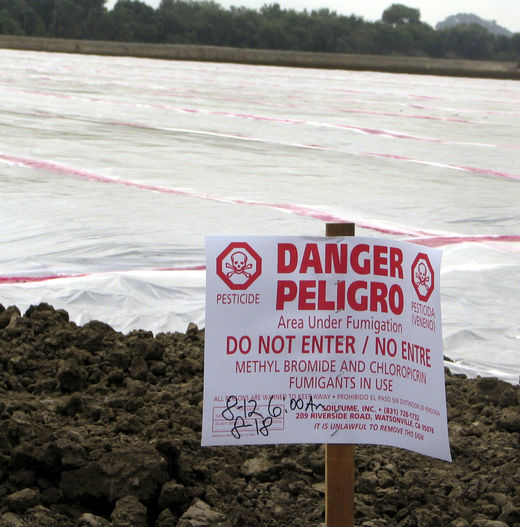 methyl bromide poisoning