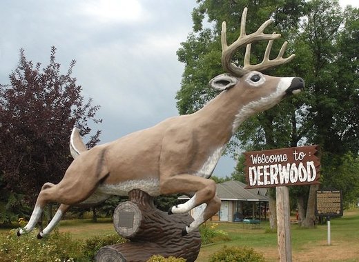 Deerwood MN
