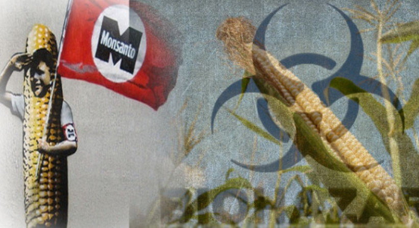 GMO image