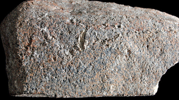 Paleolithic stone engraving