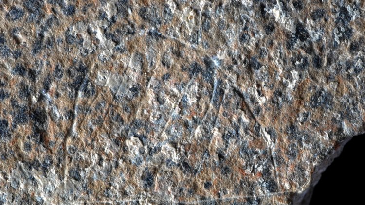 Paleo stone motif