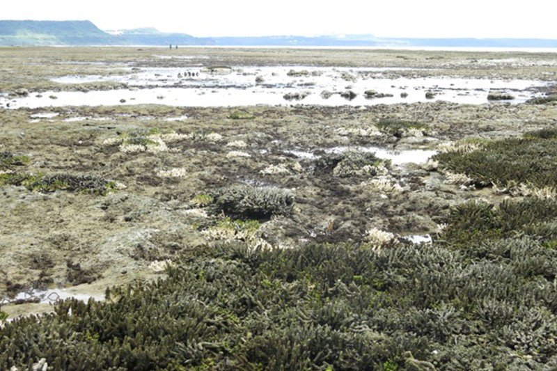 Click to enlarge Australia