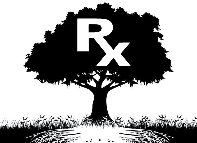 Asprin tree