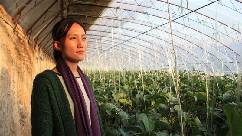 China organic farming