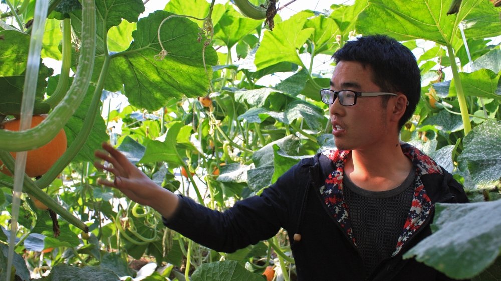 Click to enlarge China organic market