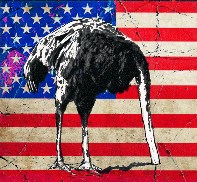 american ostrich