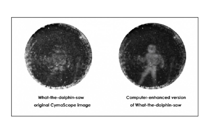CymaScope image