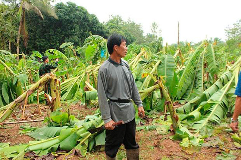 Phrae hail storm damage