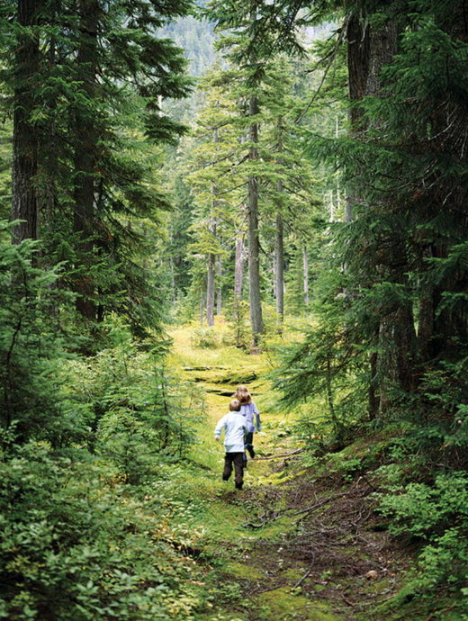 Green trees