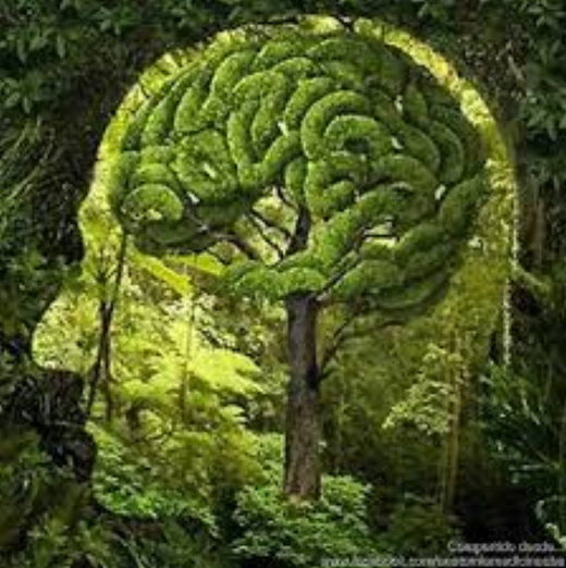 Nature brain