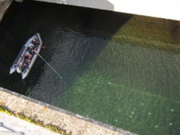 Click to enlarge fishing for money
