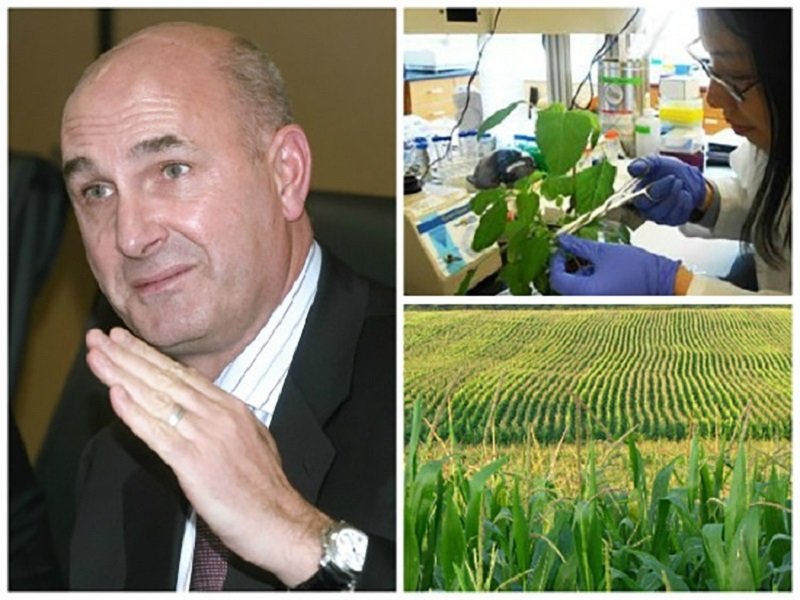 Monsanto CEO