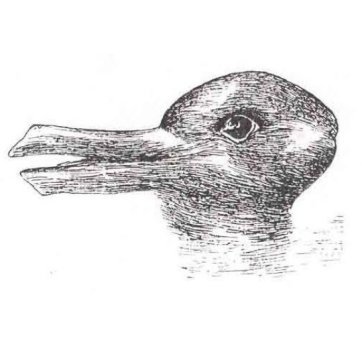The mind's eye