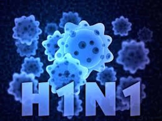 H1N1