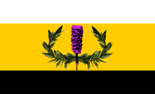 Click to enlarge hawaii nation flag