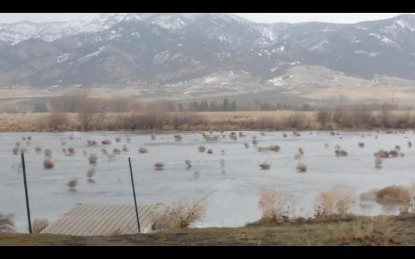tumbleweeds blowing across a frozen lake.