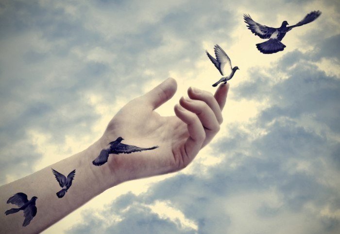 Birds