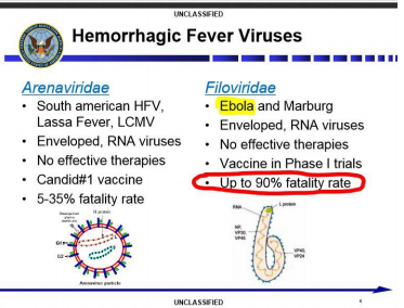 ebola silver