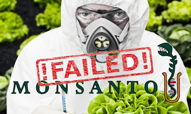 monsanto defeat