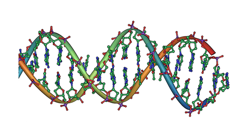 Click to enlarge DNA double helix