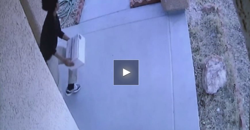 Thief steals dog poop
