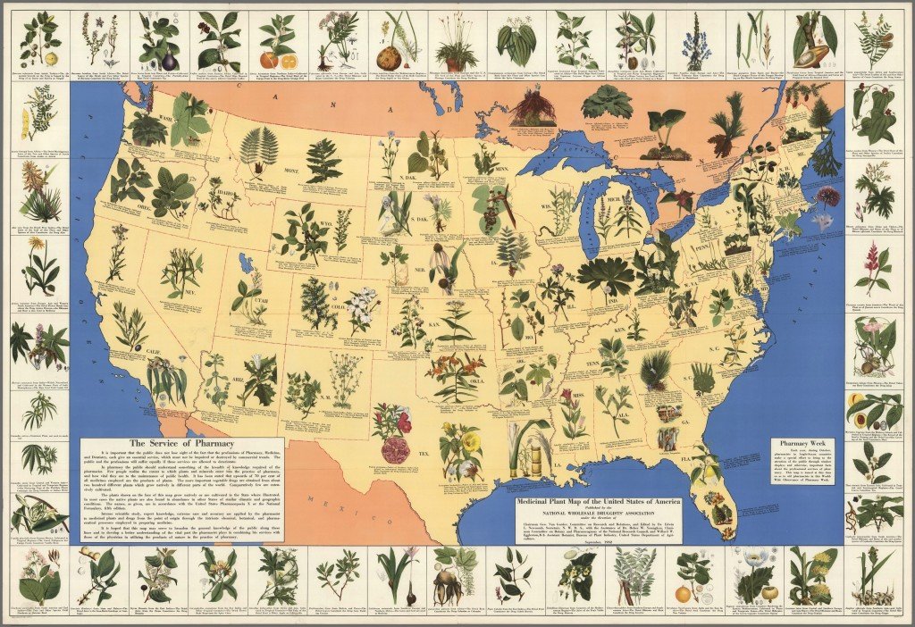 Click to enlarge herb map